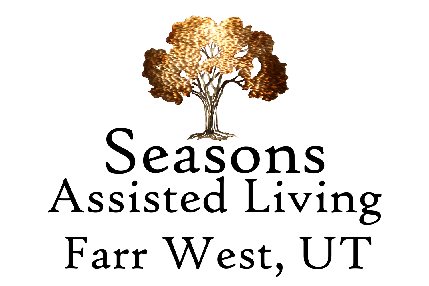 688a9c1166517135e519cb96_seasons logo